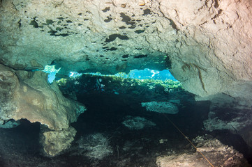 Scuba diving at the Cenote Nicte Ha in Mexico