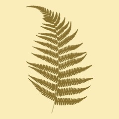 Drawing of a green leaf of fern on a beige background. Silhouette. Vector illustration.
