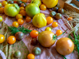 fruits and vegetables