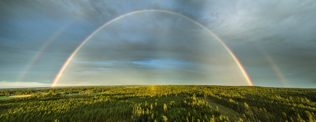 High detailed drone panorama of rainbow over summer pine tree forest, very clear skies and clean rainbow colors. This photo stitched from 6 shots. Scandinavian nature are illuminated by evening sun.