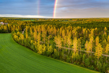 Drone photo, rainbow over summer pine tree forest, very clear skies and clean rainbow colors. Scandinavian nature are illuminated by evening sun.