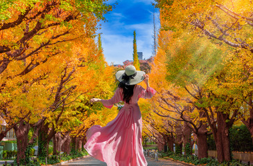 .Asian female tourists Walk to see the beauty of the yellow ginkgo tree on both sides of Tokyo,...