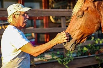 Beautiful red brown Rocky Mountain Gaited stallion with blond mane with his kind and gentle  older gray haired owner, selective focus on the horse