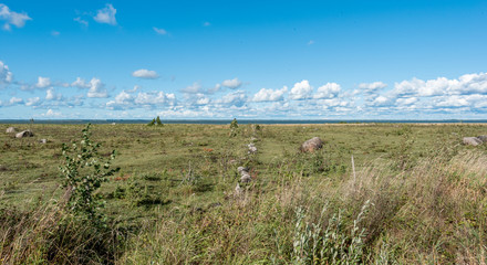 estonian landscape