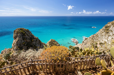Cape Capo Vaticano Ricadi in Italy, Calabria - amazing colors of sea, blue sky with white clouds background and cactus plants foreground