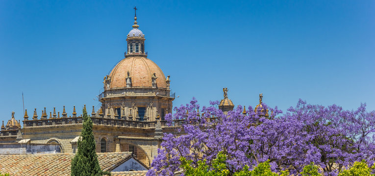 Panorama of the historic cathedral in Jerez de la Frontera, Spain