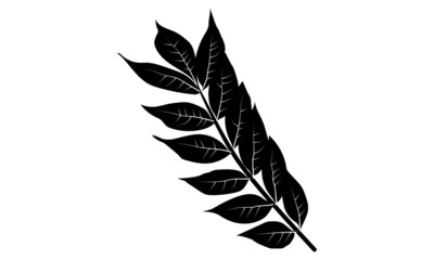 Black vector isolated leaf silhouette