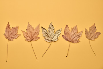 Autumn fall Background. Maple Leaf set on orange Color. Fashion mood. Creative minimal art Flat...