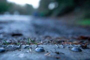 Shallow Depth of Field Metal with Grass