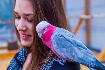 Młoda dziewczyna z kolorowymi papużkami 