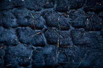 Marks in Dark Road with nature pieces