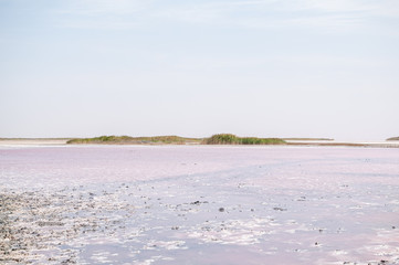 Landscape view on the pink salt Lemurisk lake