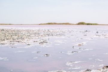 Landscape view on the pink salt Lemurisk lake