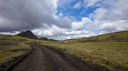 Fototapeta na wymiar Mud road that reaches a small house on the trekking of Landmannalaugar, Iceland