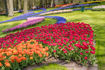 Flower park in Netherlands