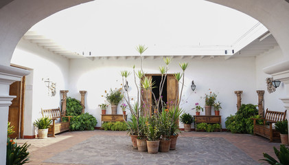 White colonial building and plants
