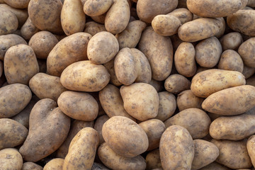 Food background of unwashed Organic potatoes on a market stall. Weekly spanish marketplace