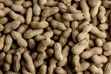Fototapeta premium close up of a pile of peanuts