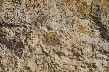 Background of stone wall texture