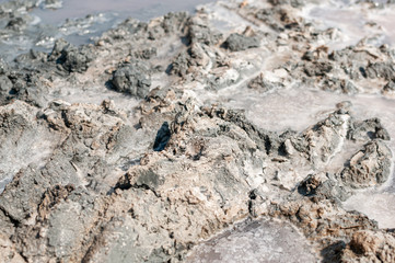 Grey mud in the pink lake in Sivash