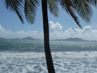 Un palmier et au loin deux îles