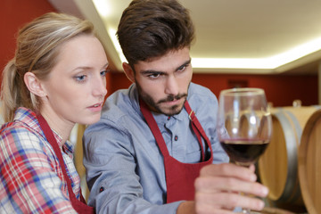 couple of winemakers tasting red wine