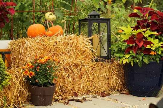 Outdoor Patio decorated for Autumn with pumpkins, pillows, plants and hay bales, lanterns