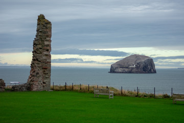 Bass rock as seen from the castle grounds.