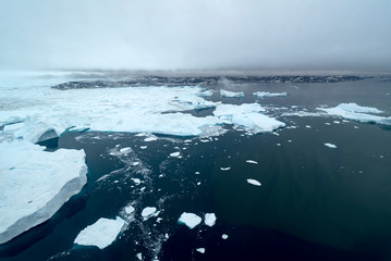 icebergs on arctic ocean in greenland
