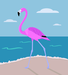 Beautiful pink flamingo by the sea. Tropical bird, nature, zoology, sea. Flat design. Vector illustration. EPS10