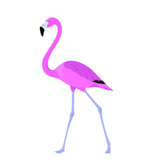 Beautiful pink flamingo on white. Tropical bird, nature, zoology, sea. Flat design. Vector illustration. EPS10