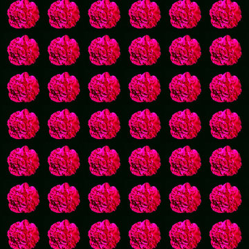 Seamless pattern with red peoni against a black background