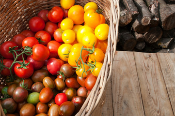 delicious and red tomatoes natural