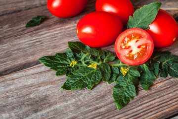 Red, ripe tomatoes with leaves and flowers on a dark background