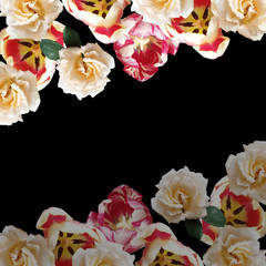 Beautiful floral background of roses and tulips. Isolated