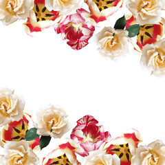 Beautiful floral background of roses and tulips. Isolated