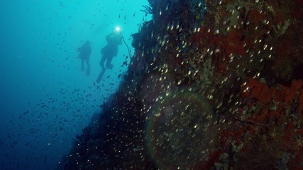 Shot over an intact coral reef with hard corals, soft corals and many tropical fish. Divers watching the scene, Maldives, India Ocean