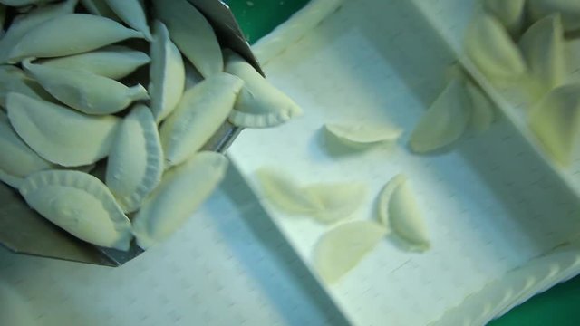 dumpling factory, frozen foods