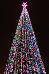 Christmas  Tree Covered Snow with Multicolored Lights at Night on black background.