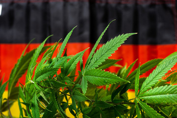 Cannabis plant and German flag