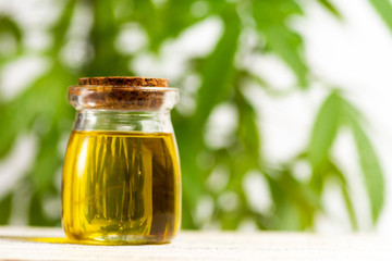 Cannabis oil and marijuana leaves closeup