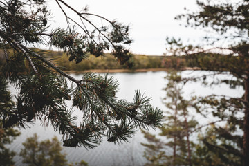 Sweden wilderness