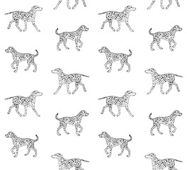 Vector seamless pattern of hand drawn sketch Dalmatian dog isolated on white background