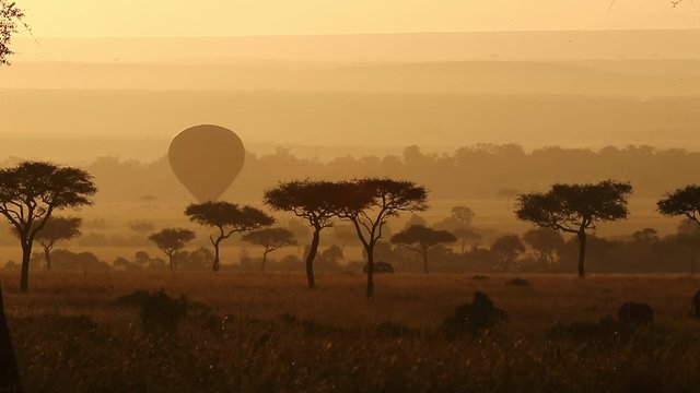 Early morning in the savannah. Dawn. Beautiful landscape. Balloons are flying in the sky. Awesome light. Africa. Kenya. Tanzania. Maаsai Mara National Park.
