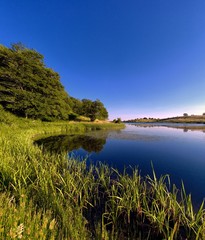 Biviere Lake Idyll Summer Scene In Nebrodi Park, Sicily