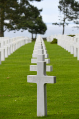 Normandy Crosses