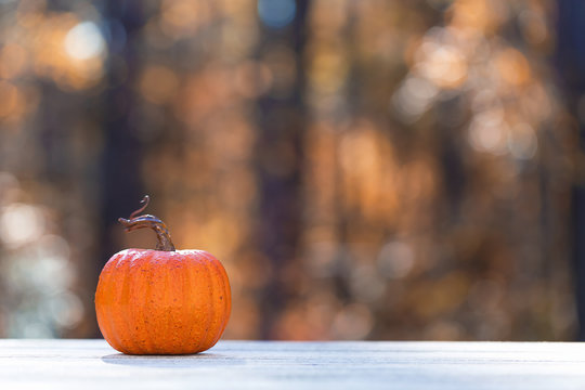 Small pumpkin outside on a fall forest background