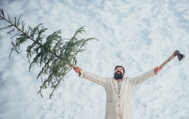 Happy father with Christmas tree on a snowy winter walk. Bearded Man cutting Christmas tree. Purchase and delivery of conifer on Christmas Eve.