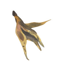 Obraz premium Watercolor element on the topic of environmental pollution, litter of megacities. Rotten banana peel