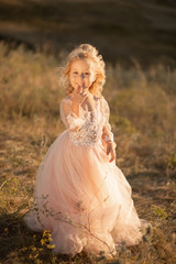 Portrait of a beautiful little princess girl in a pink dress. Posing in a field at sunset